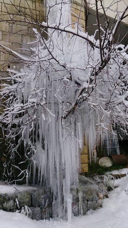 El Achkar Guesthouse Beit ed-Dine Dış mekan fotoğraf