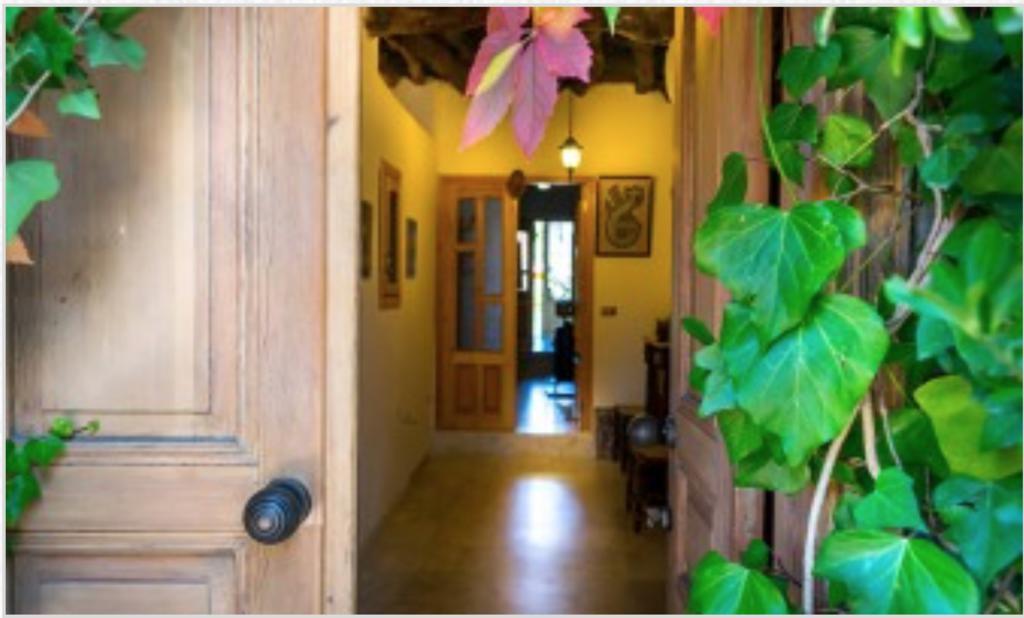 El Achkar Guesthouse Beit ed-Dine Dış mekan fotoğraf